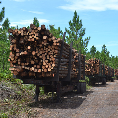 Log Trucks