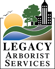 Arborist services logo