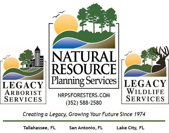 Environmental services logo
